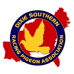DSRPA Logo